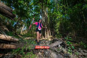 BIB: 
                            <button type="button" onclick="openModal(19387170)" class="btn btn-primary btn-sm float-right btn-popup" data-toggle="modal" data-target=".modal-high-quality">
                        <i class="fas fa-shopping-cart"></i> Add to Cart
                    </button>
                                            <button type="button" onclick="isThisMe(19387170, true)" class="btn btn-success btn-sm float-right btn-popup btn-isme hidden" data-toggle="tooltip" data-placement="bottom" title="นี่คือรูปของคุณใช่ไหม คลิกที่นี่เพื่อเอาเข้าอัลบั้ม">
                        <i class="fas fa-plus"></i> Add to album
                    </button>
                    <button type="button" onclick="isThisMe(19387170, false)" class="btn btn-warning btn-sm float-right btn-popup btn-isnotme hidden">
                        <i class="fas fa-ban"></i> Remove from album
                    </button>